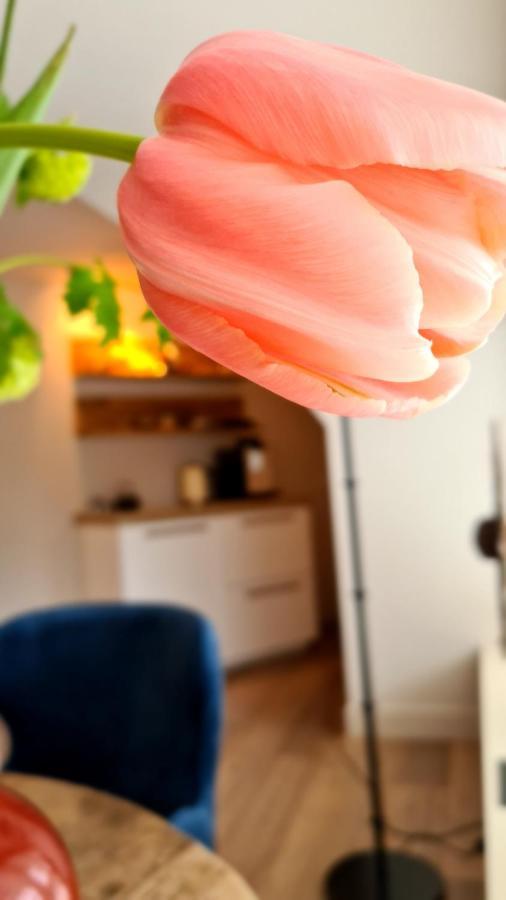 Short Stay Midden Drenthe Beilen Zewnętrze zdjęcie